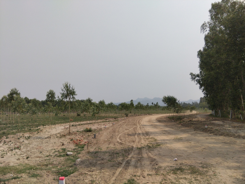  Residential Plot 100 Sq. Yards for Sale in Behat, Saharanpur