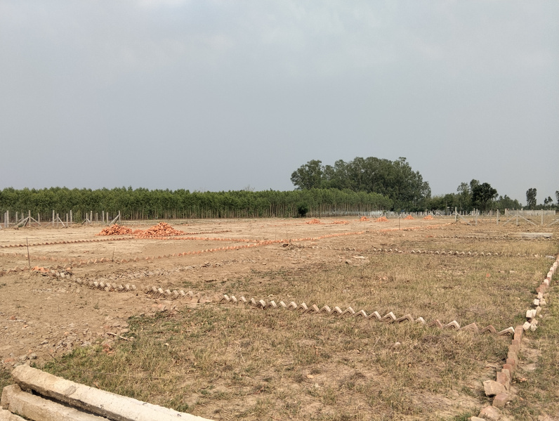  Residential Plot 100 Sq. Yards for Sale in Behat, Saharanpur
