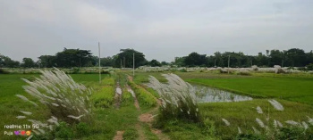  Residential Plot for Sale in Hanspal, Bhubaneswar