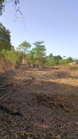  Agricultural Land for Sale in Badlapur Gaon, Thane
