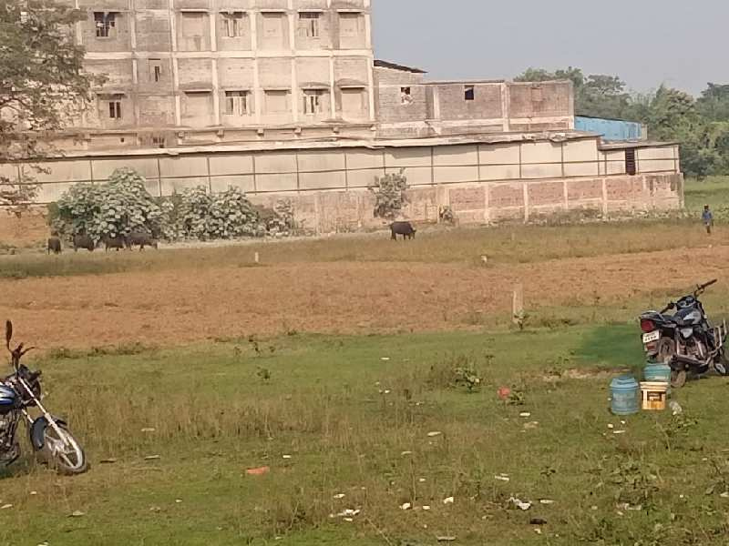  Residential Plot 1361 Sq.ft. for Sale in Bihta, Patna