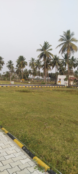  Residential Plot 720 Sq.ft. for Sale in Thiruporur, Chennai