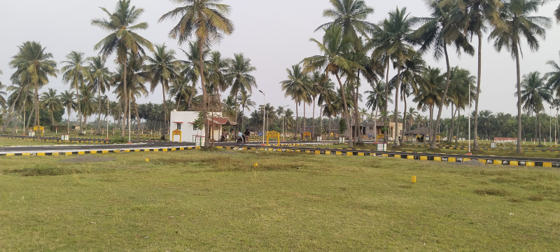  Residential Plot 915 Sq.ft. for Sale in Thiruporur, Chennai