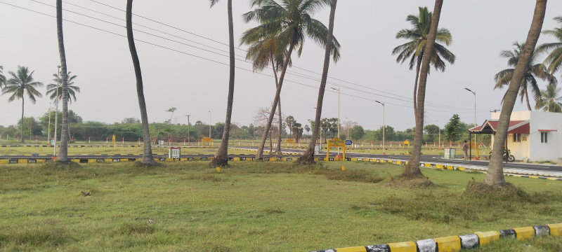  Residential Plot 1000 Sq.ft. for Sale in Thiruporur, Chennai