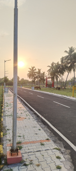  Residential Plot 1171 Sq.ft. for Sale in Thiruporur, Chennai