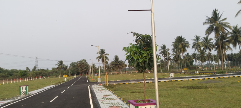  Residential Plot 911 Sq.ft. for Sale in Thiruporur, Chennai
