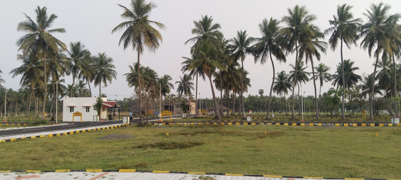 1364 Sq.ft. Residential Plot for Sale in Thiruporur, Chennai