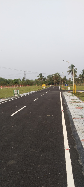  Residential Plot 1353 Sq.ft. for Sale in Thiruporur, Chennai