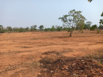  Residential Plot for Sale in Banki, Cuttack