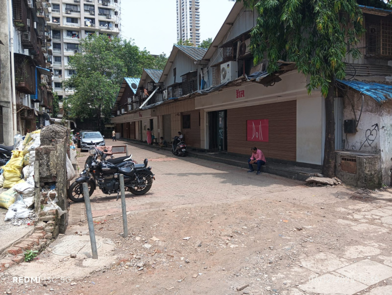  Residential Plot 11103 Sq. Meter for Sale in Elphinstone, Prabhadevi, Mumbai