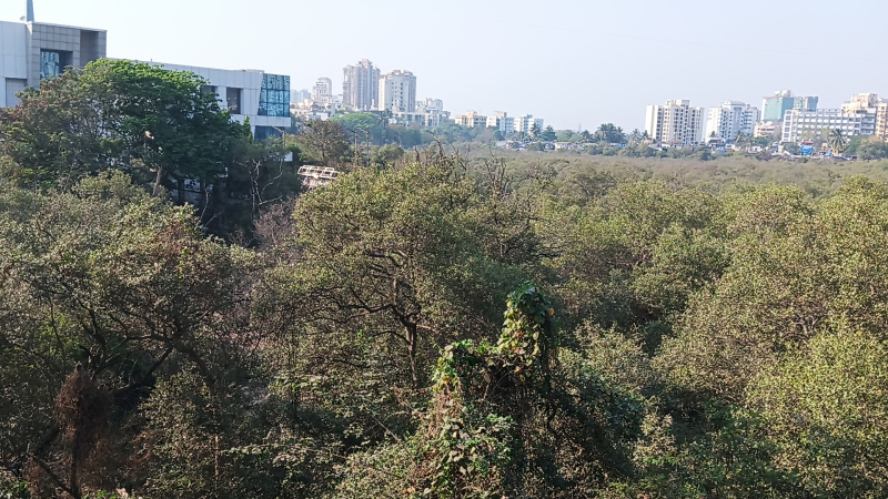  73200 Sq. Meter Residential Plot for Sale in Versova, Andheri West, Mumbai