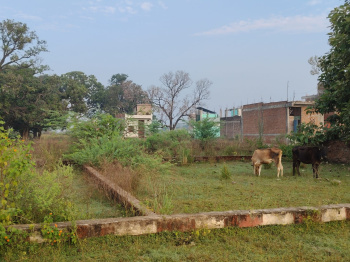  Residential Plot for Sale in Yamuna Expressway, Greater Noida