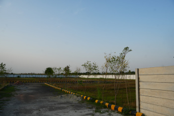  Residential Plot for Sale in Solra, Palwal