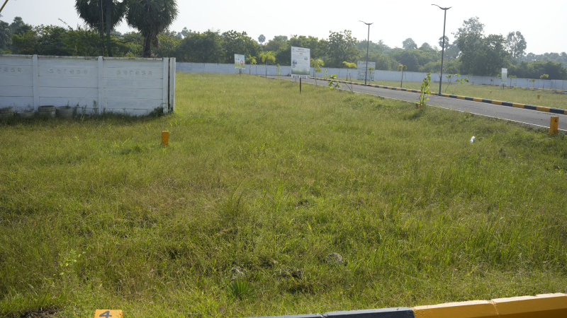  Residential Plot 696 Sq.ft. for Sale in Omr, Chennai