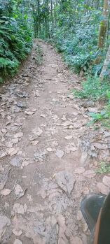  Residential Plot for Sale in Pandalam, Pathanamthitta