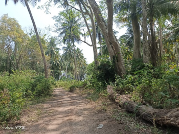  Commercial Land for Sale in Havelock Island, Andaman