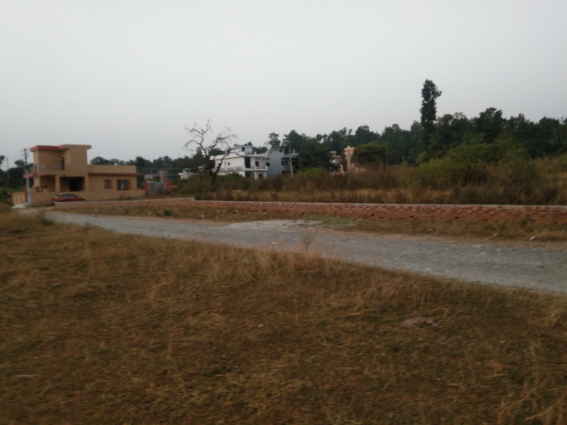  Residential Plot 150 Sq. Yards for Sale in Sahastradhara Road, Dehradun