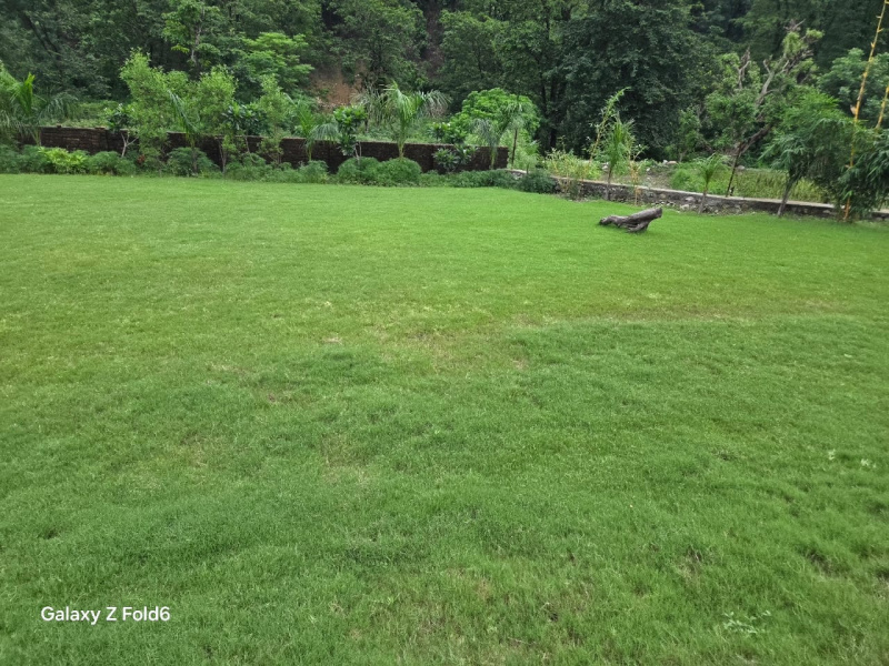  Residential Plot 2140 Sq. Yards for Sale in Thano, Dehradun