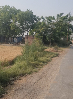  Agricultural Land for Sale in Garhmukteshwar, Hapur