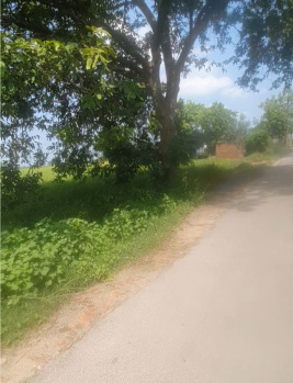  Agricultural Land for Sale in Garhmukteshwar, Hapur