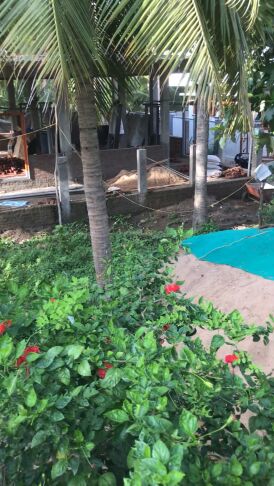  1720 Sq.ft. Residential Plot for Sale in Tatipaka, East Godavari