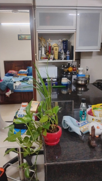 1 BHK Apartment 412 Sq.ft. for Sale in Goregaon East, Mumbai