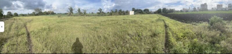  Industrial Land 7 Acre for Rent in Lonikand, Pune