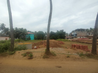  Residential Plot for Rent in Morjim, Goa