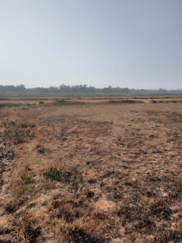  Agricultural Land for Sale in Nayapali, Bhubaneswar