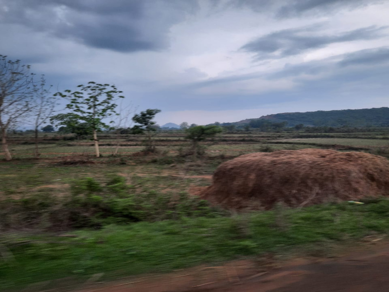  Agricultural Land 1 Acre for Sale in Nayapali, Bhubaneswar