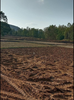  Agricultural Land for Sale in Bhagawanpur, Bhubaneswar