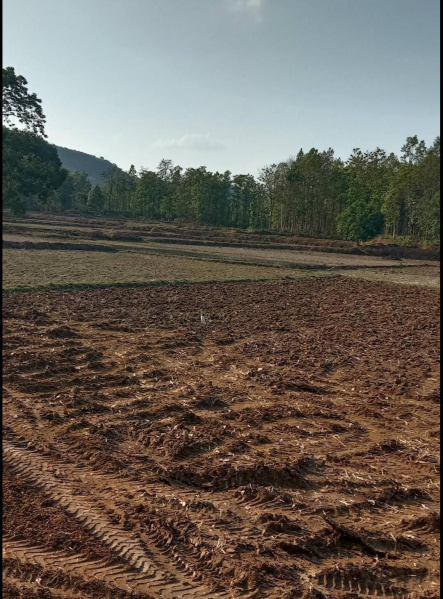  Agricultural Land 400 Acre for Sale in Bhagawanpur, Bhubaneswar