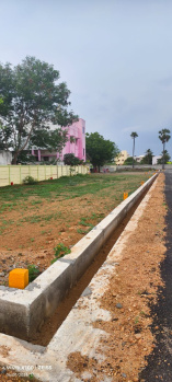  Residential Plot for Sale in Panjapur, Tiruchirappalli