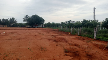  Residential Plot for Sale in Manikandam, Tiruchirappalli