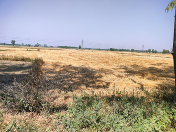  Industrial Land for Sale in Jagadhri, Yamunanagar