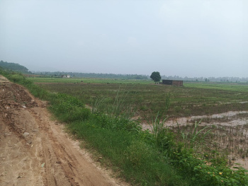  Agricultural Land for Sale in HSIIDC Manakpur Industrial Area, Sector 30A, Yamunanagar