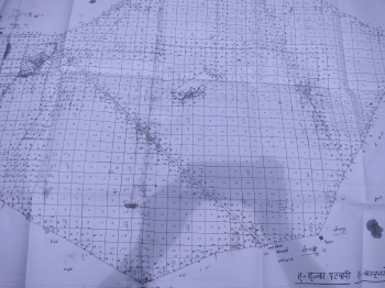  Agricultural Land for Sale in Jagadhri, Yamunanagar