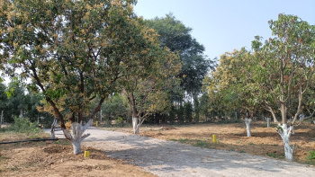  Agricultural Land for Sale in Ismailkhanpet, Sangareddy