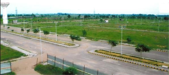  Residential Plot 1000 Sq.ft. for Sale in Rudauli, Faizabad