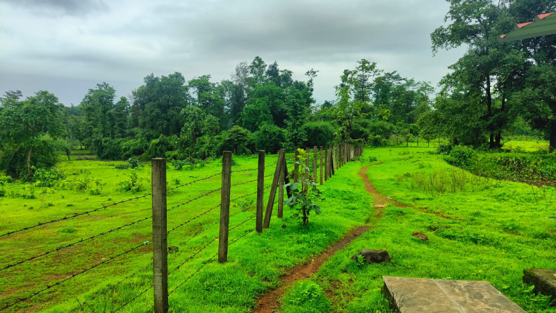  8 Acre Agricultural/Farm Land for Sale in Wada, Palghar