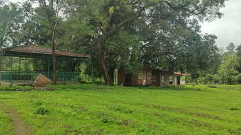 Agricultural Land for Sale in Wada, Palghar