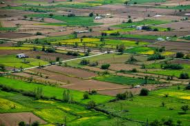  Agricultural Land for Sale in Dafarpur, Dera Bassi