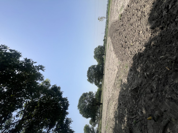 1.5 BHK Farm House for Sale in Bapoli, Panipat