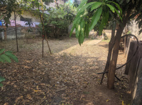  Residential Plot for Sale in Chandrapur Road, Gadchiroli