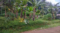  Residential Plot for Sale in Puthuppally, Kottayam