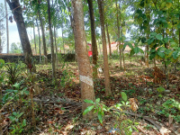  Residential Plot for Sale in Punalur, Kollam