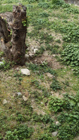  Residential Plot for Sale in Laitumkhrah, Shillong
