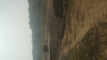  Agricultural Land for Sale in Badowala, Dehradun