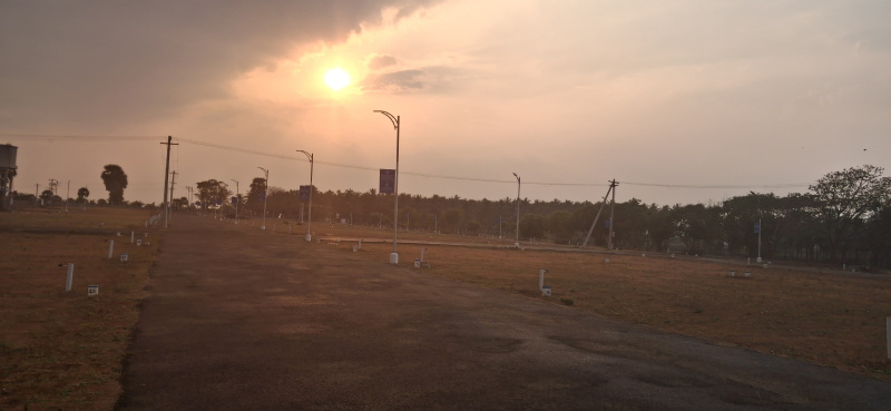  Residential Plot 1200 Sq.ft. for Sale in Kinathukadavu, Coimbatore