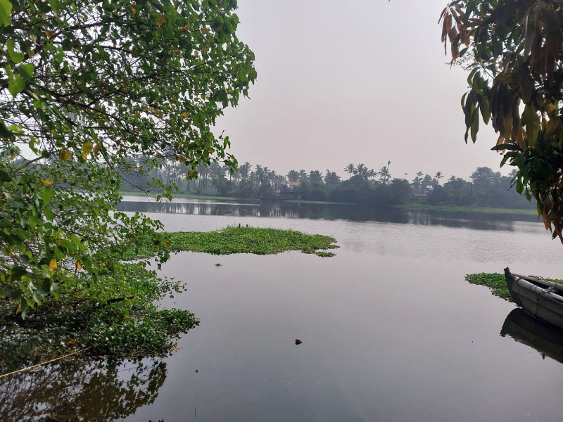 2 BHK 700 Sq.ft. House for Sale in Vallarpadom, Kochi